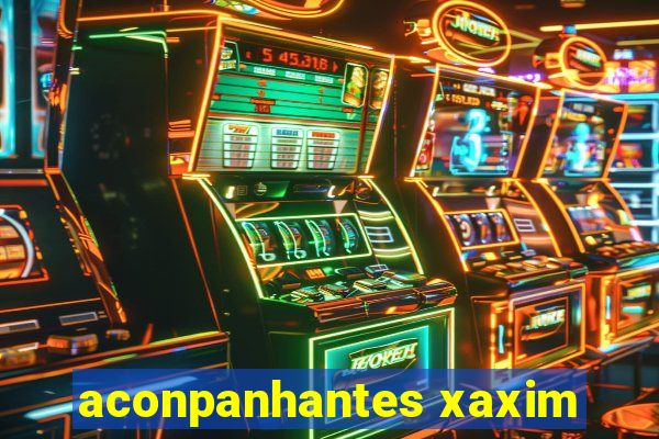 aconpanhantes xaxim